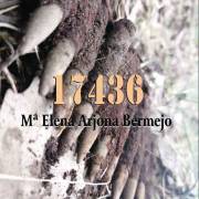 17436, una obra de Mª Elena Arjona Bermejo