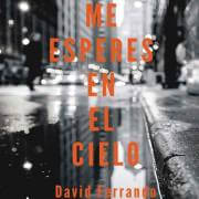 No me esperes en el cielo, una obra de David Ferrando