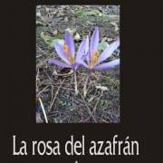 La rosa del azafrán, una obra de Eladio Bernabé F. R. Castedo